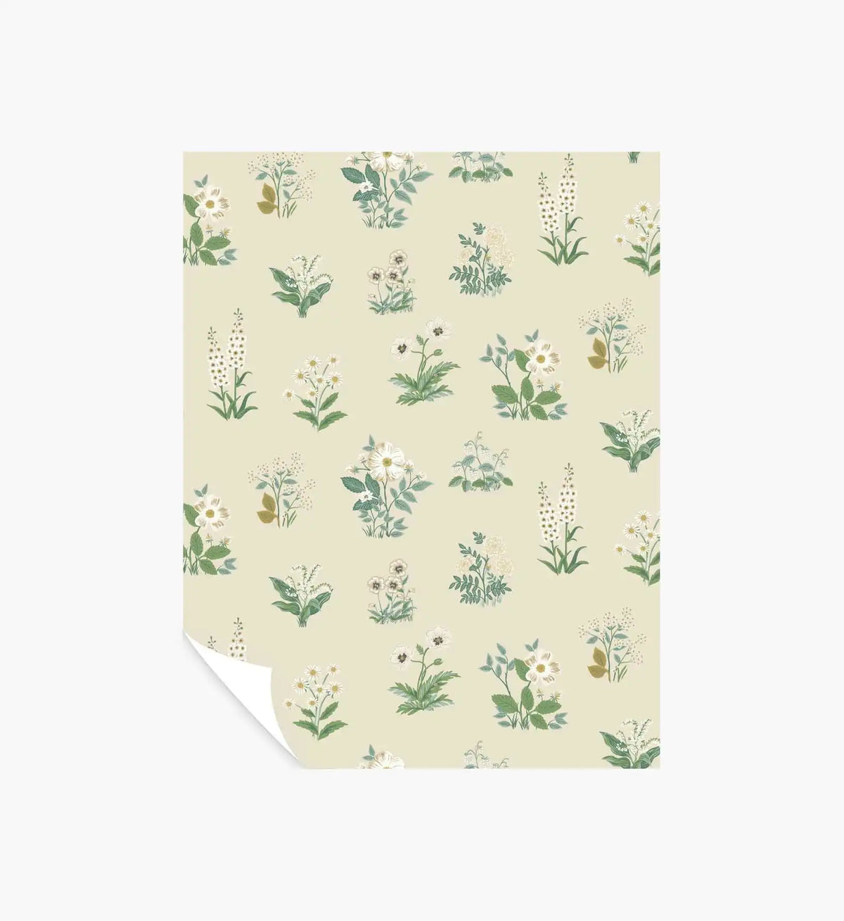 Botanical Wallpaper Sample - Cream