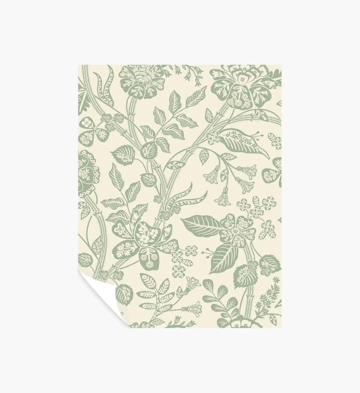 Gracie Garden Wallpaper Sample - Sage & Cream
