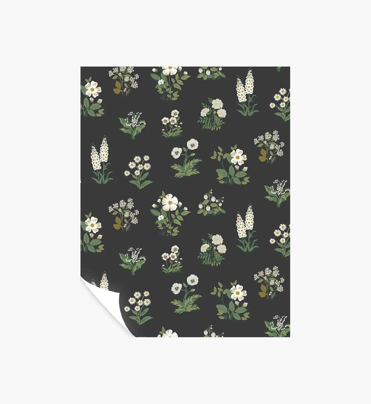 Botanical Wallpaper Sample - Black