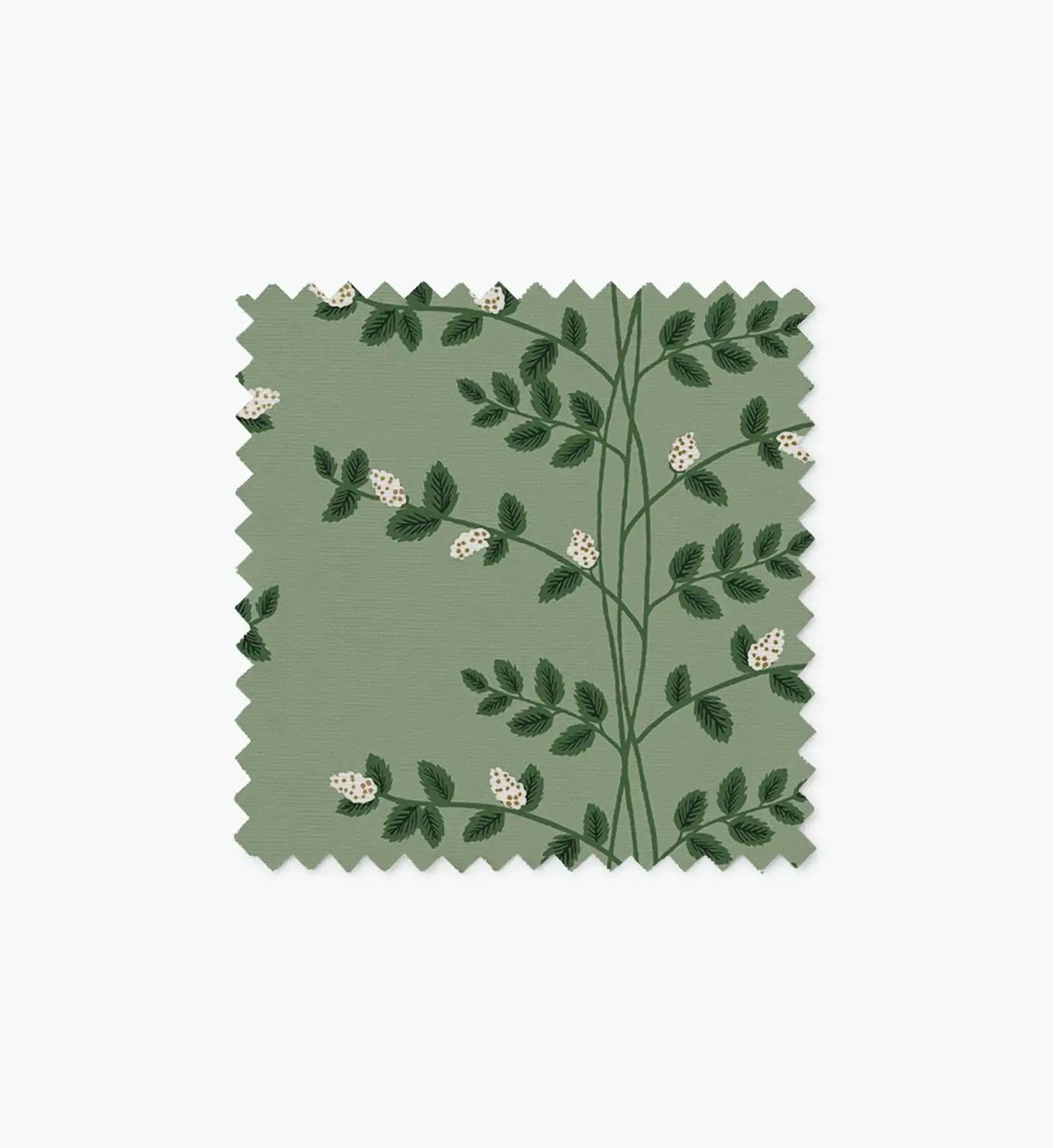 Furniture Fabric Sample - Climbing Vines