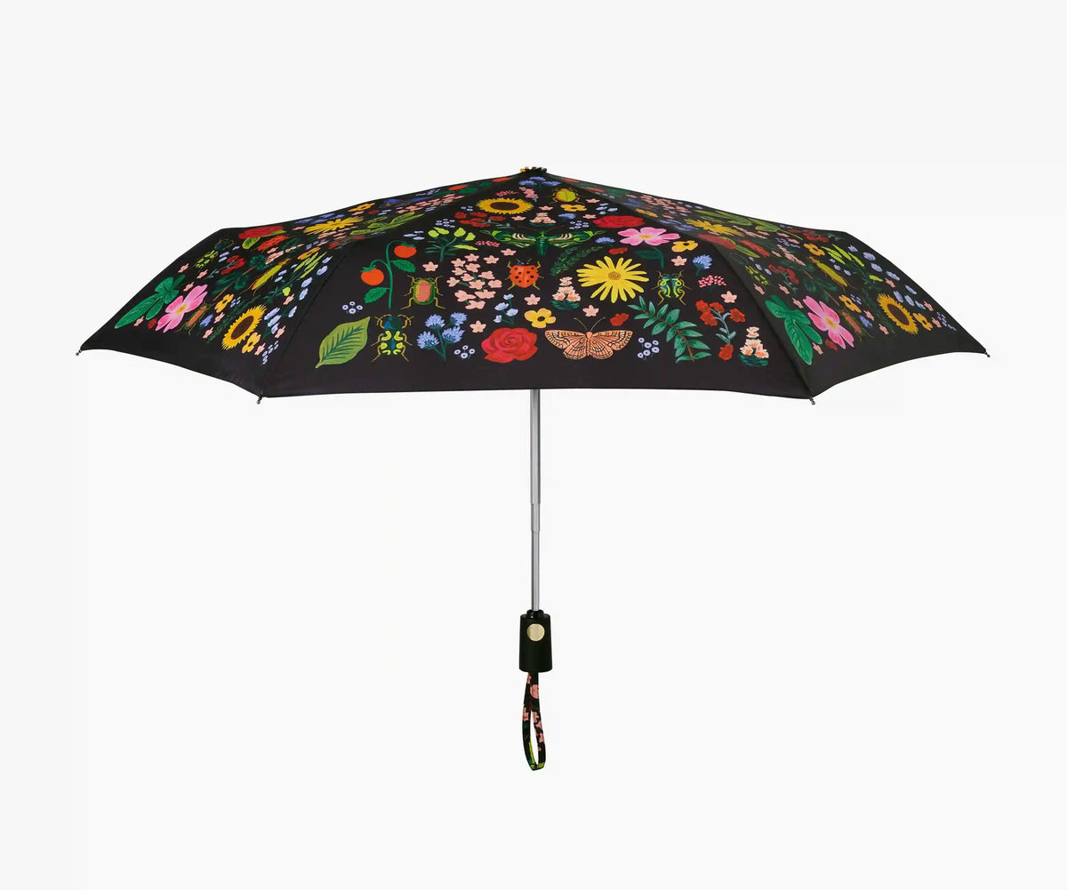 Umbrella - Curio