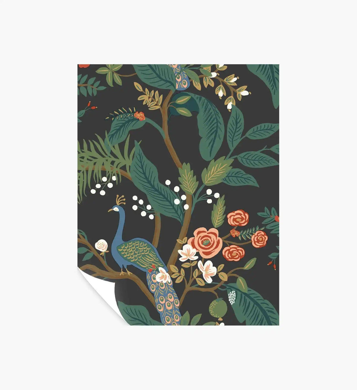 Peacock Wallpaper Sample - Charcoal