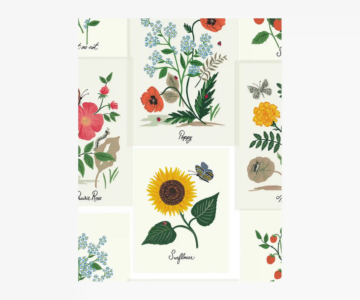 Botanical Prints Wallpaper Sample - White
