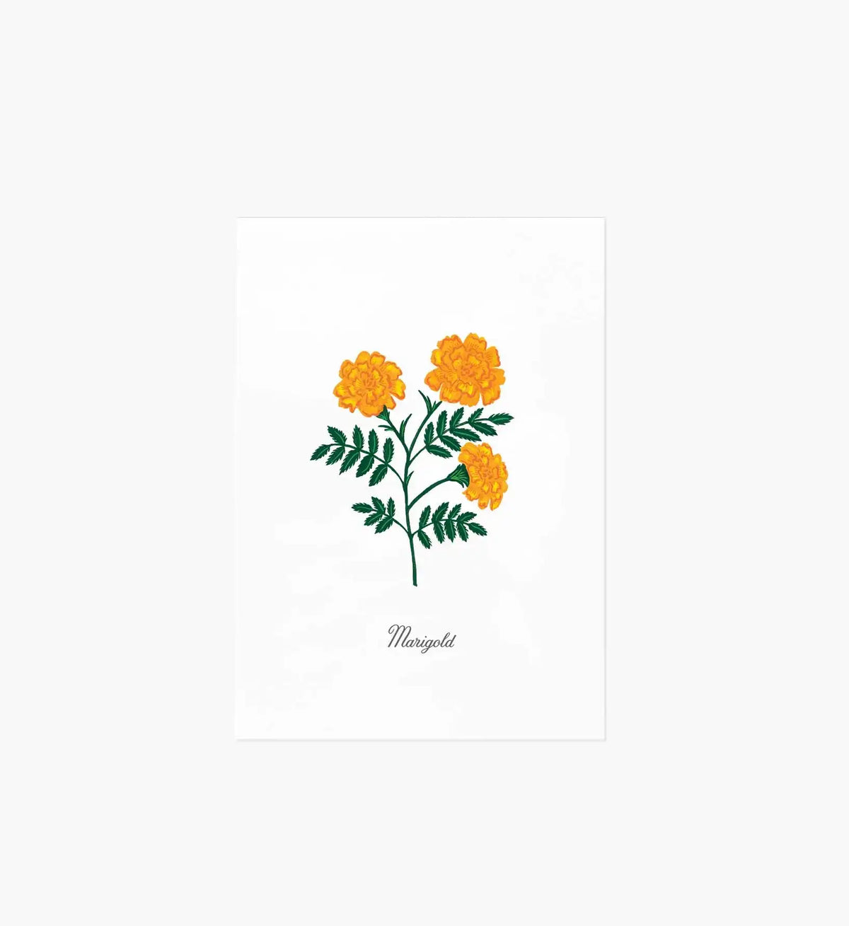 Birth Month Art Print - October