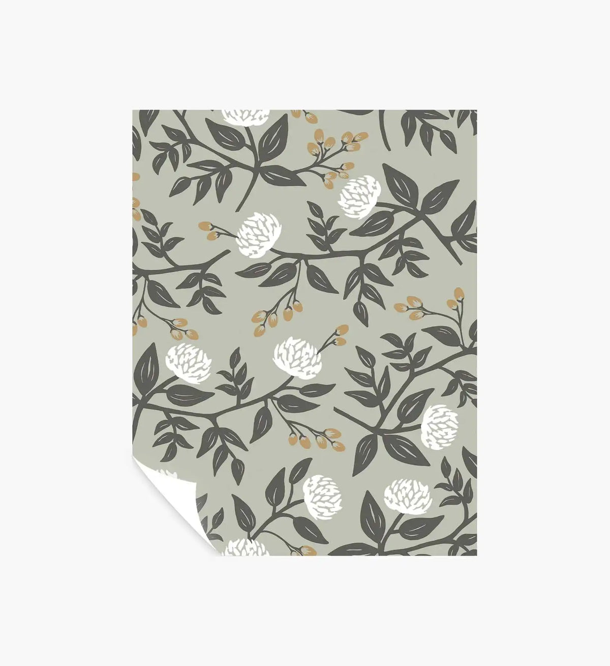 Peonies Peel & Stick Wallpaper Sample - Smoke