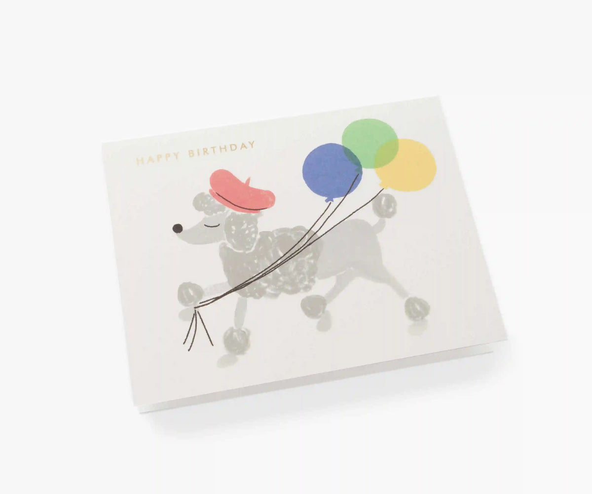 French Poodle Birthday Card - Single Card