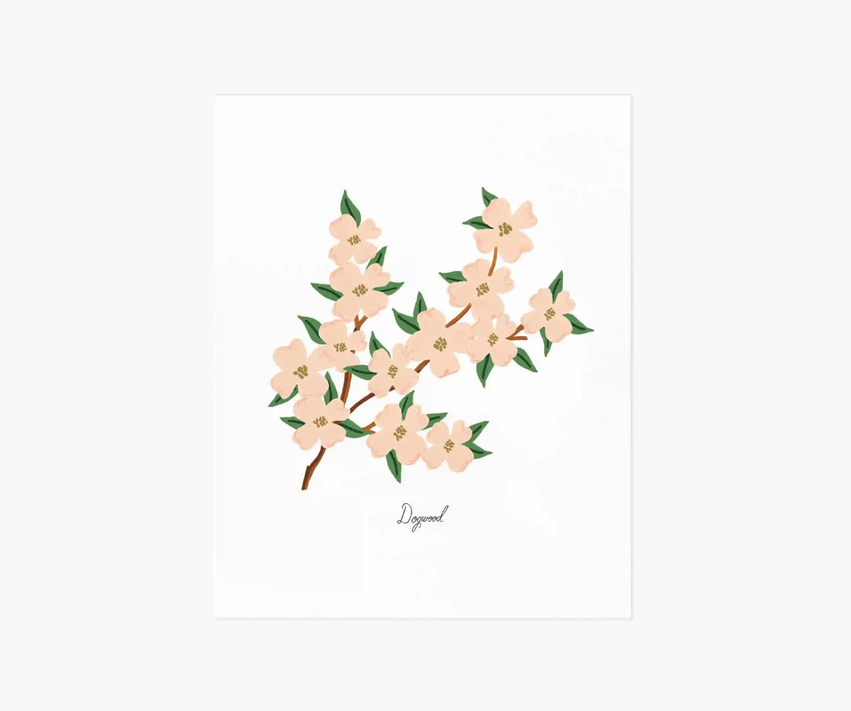 Dogwood Art Print