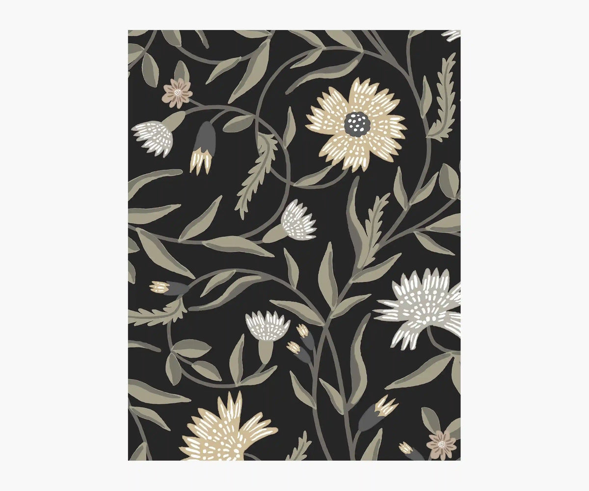 Aster Wallpaper Sample - Black