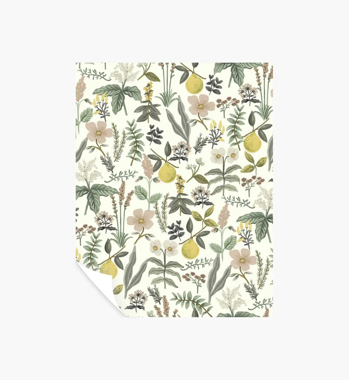 Herb Garden Peel & Stick Wallpaper Sample - Cream