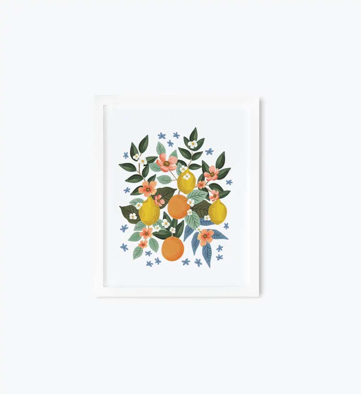 Citrus Grove Cluster Art Print