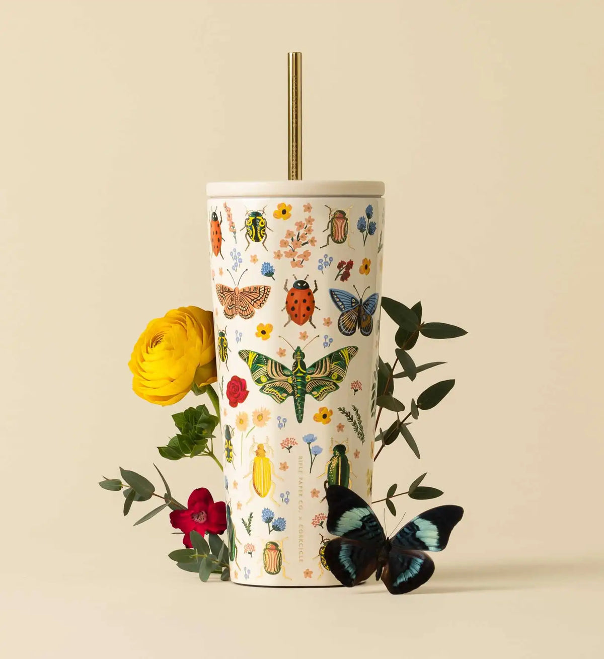 24 oz. Cold Cup - Curio