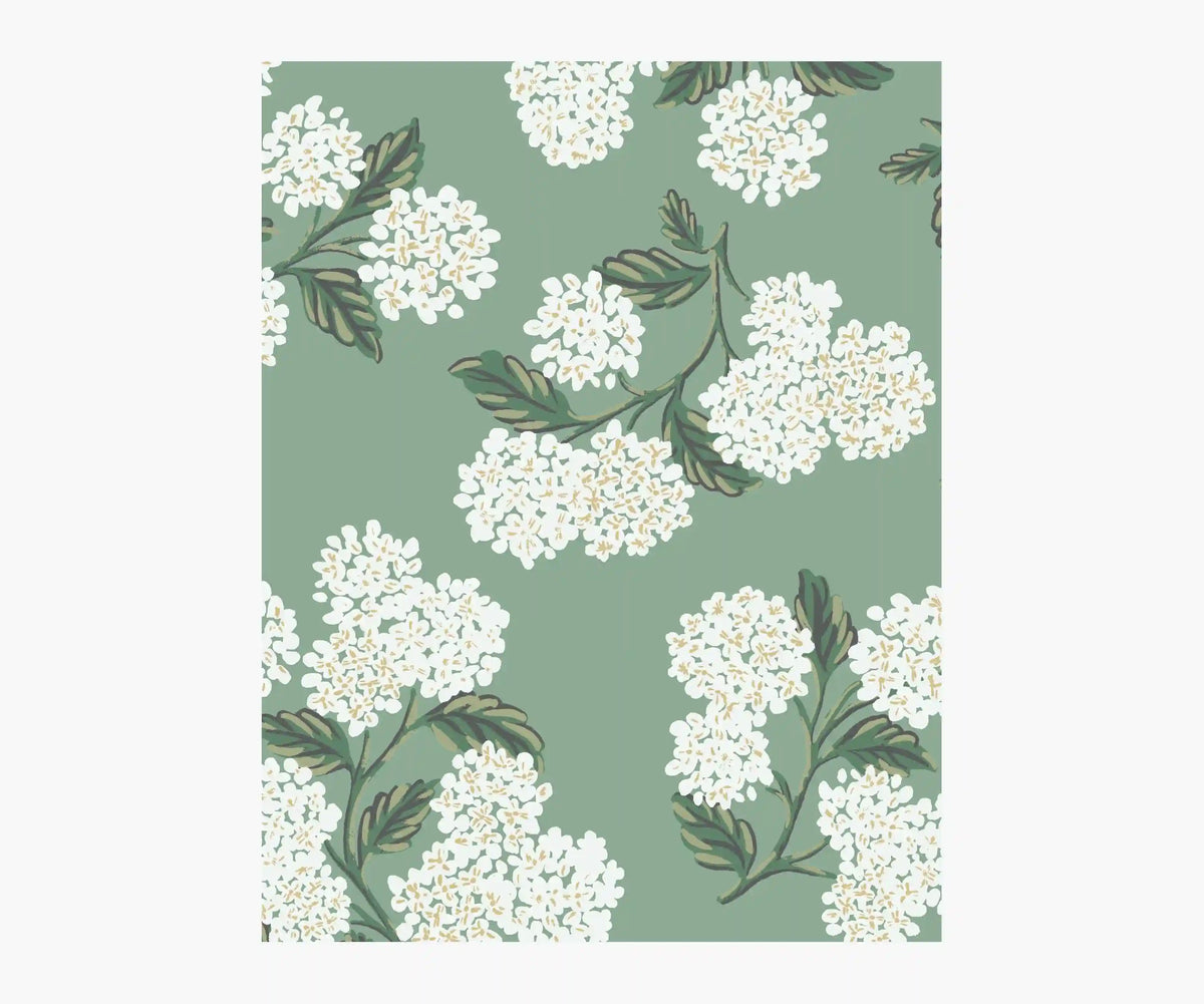 Hydrangea Wallpaper Sample - Jade