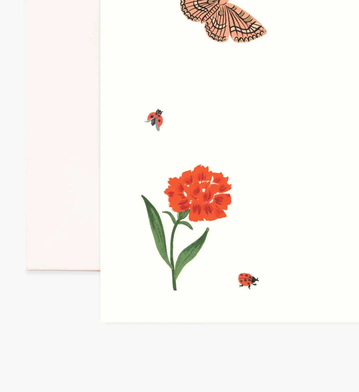 Everyday Personalized Stationery  - Curio
