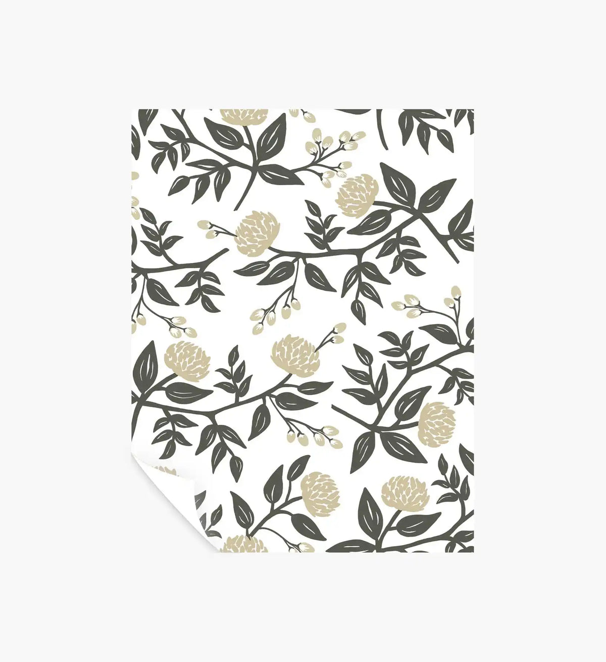 Peonies Peel & Stick Wallpaper Sample - White