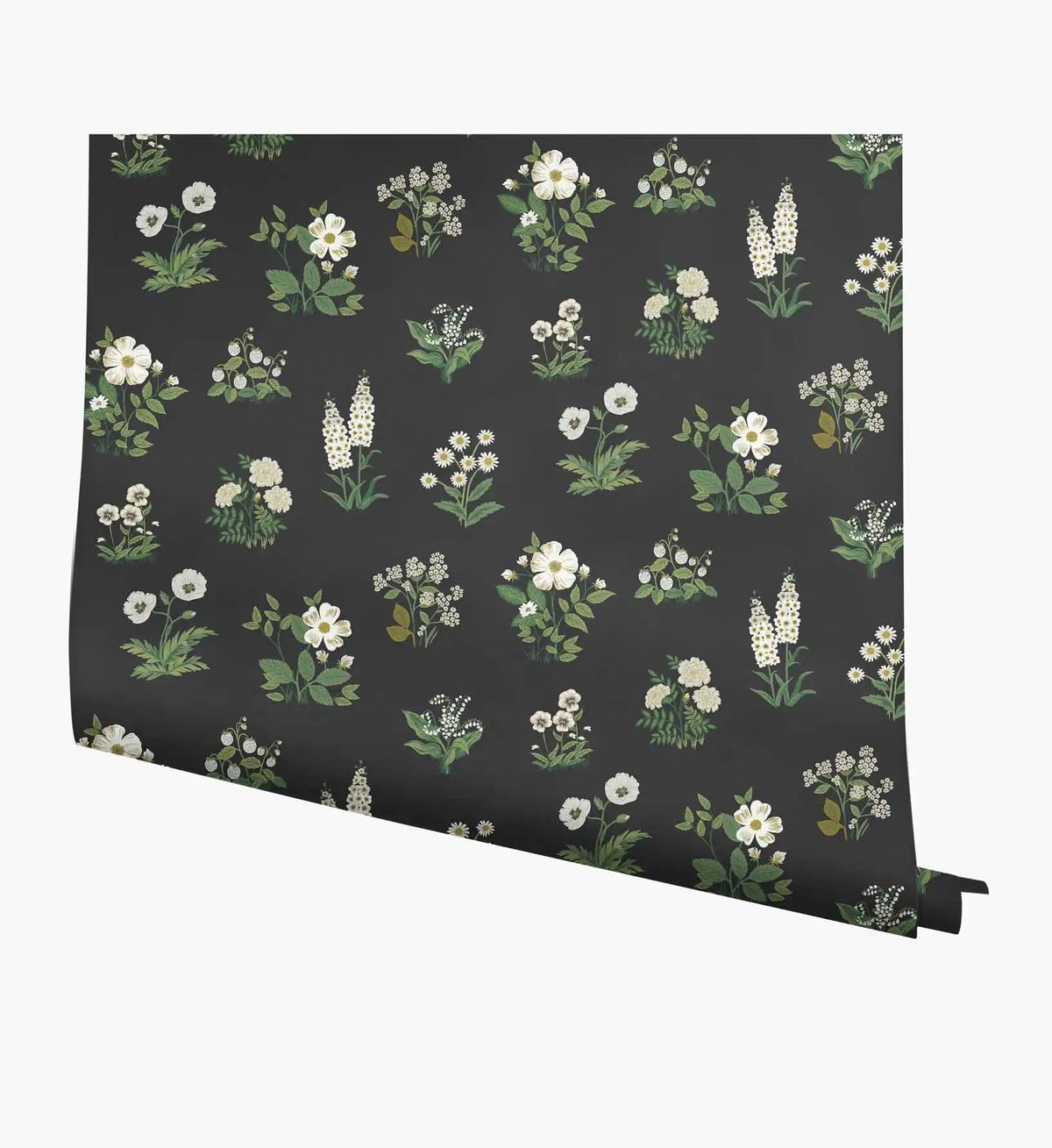 Botanical Wallpaper - Black