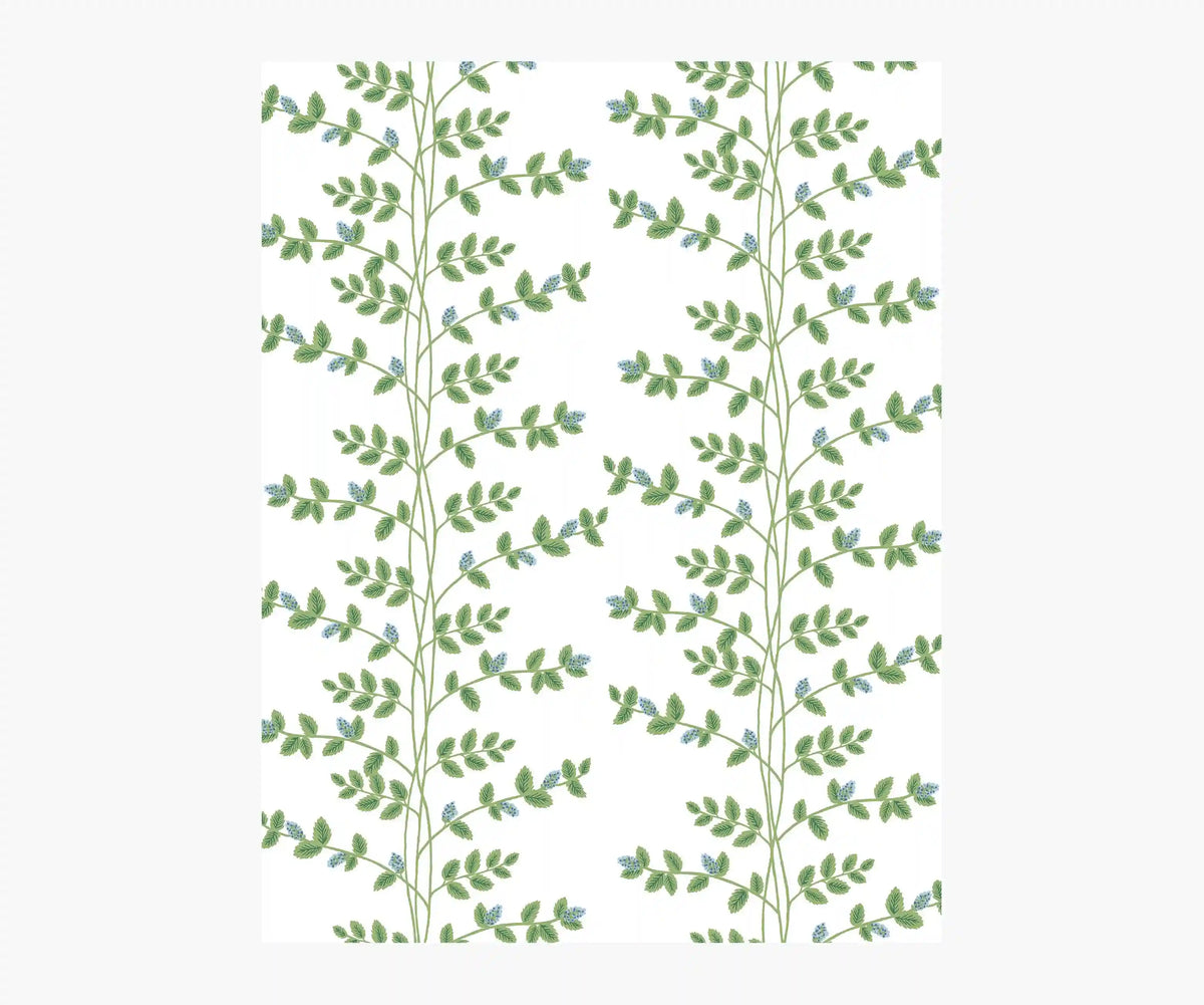 Climbing Vines Wallpaper Sample - White & Blue