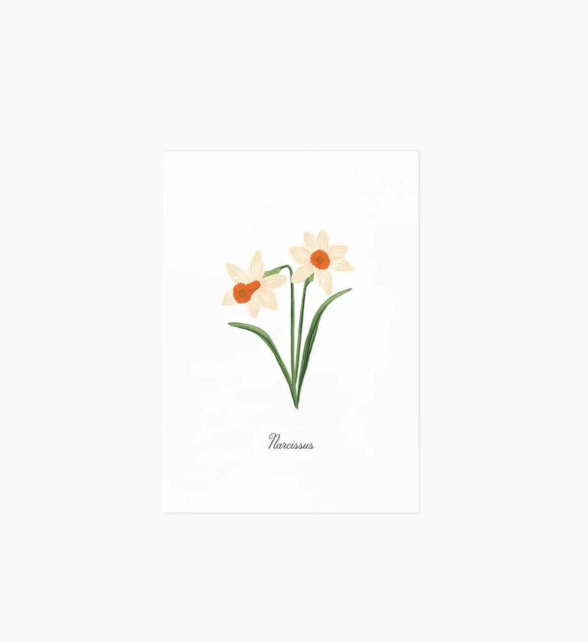 Birth Month Art Print - December