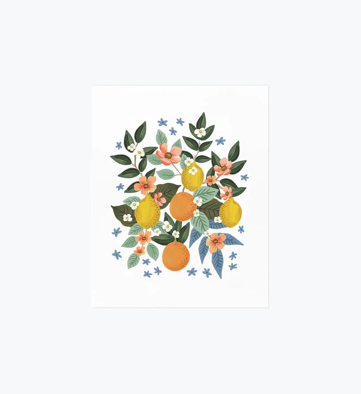 Citrus Grove Cluster Art Print