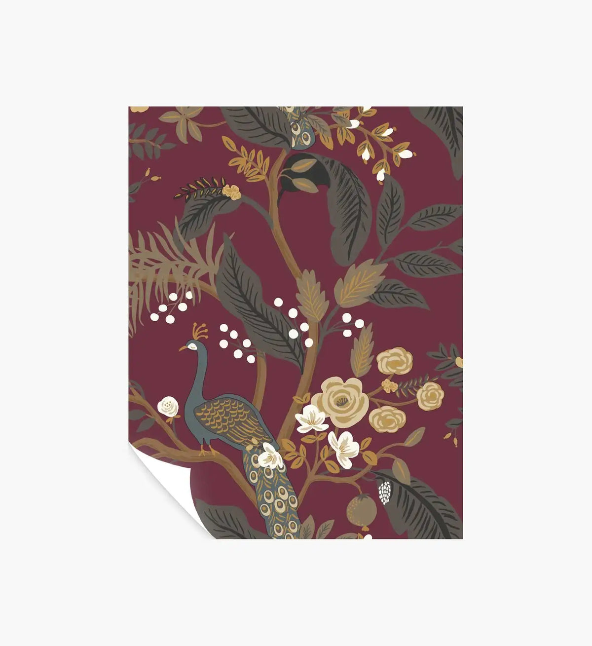 Peacock Wallpaper Sample - Burgundy
