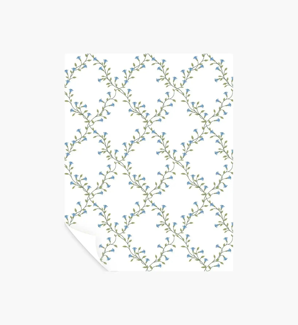 Bellflower Wallpaper Sample - White