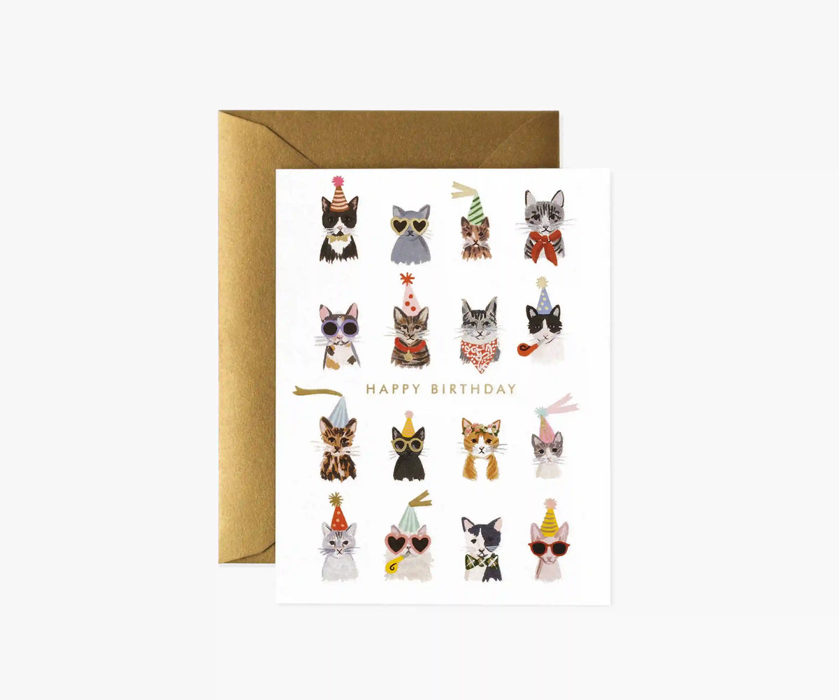 Cool Cats Birthday Cards - Boxed Set