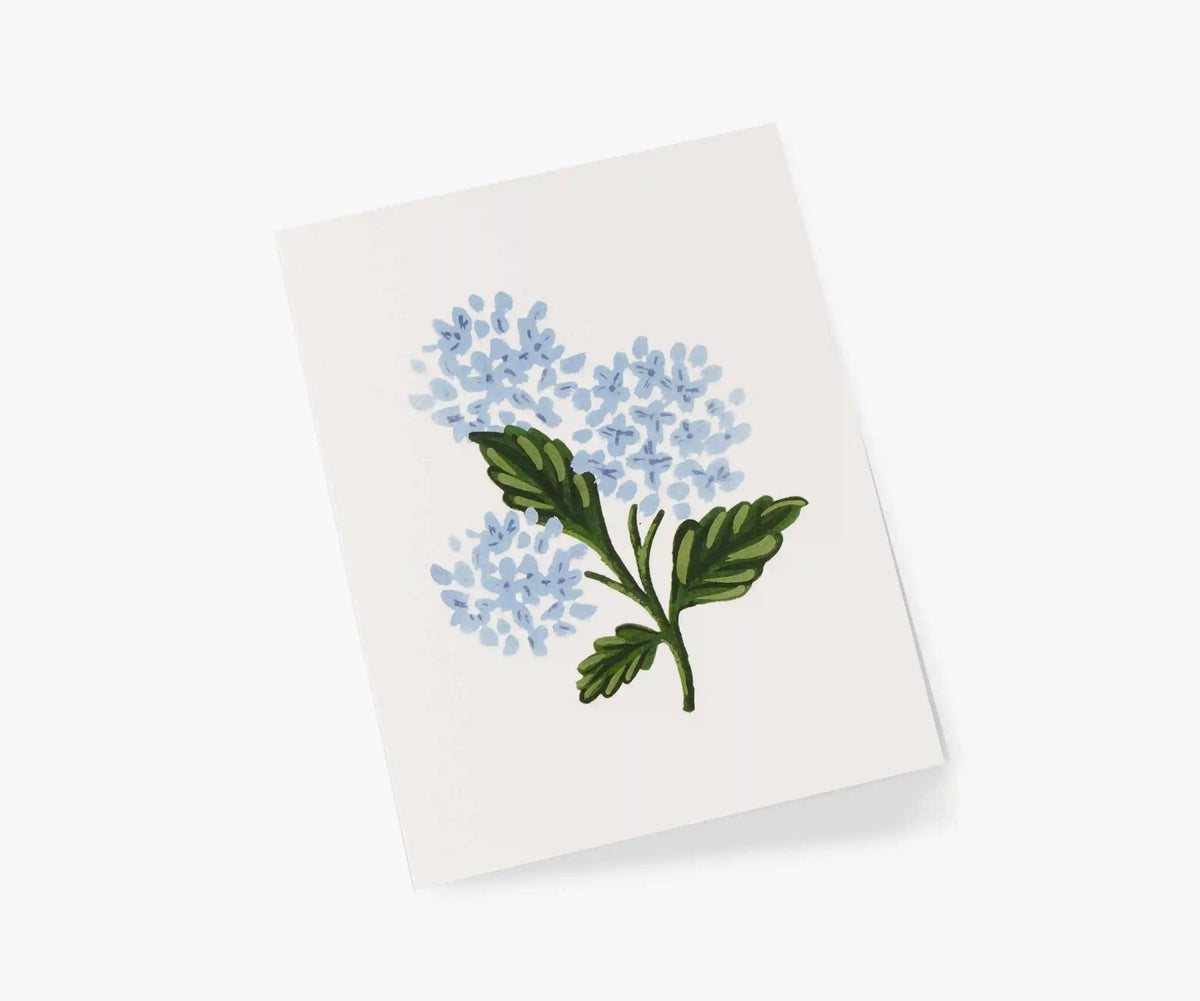 Hydrangea Bloom Everyday Card - Single Card