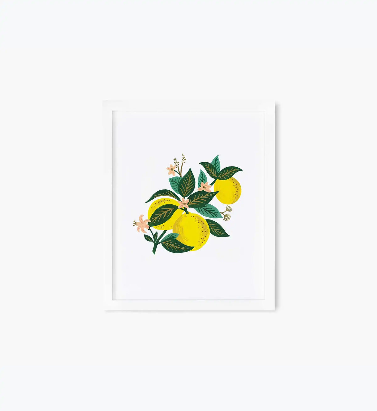 Lemon Blossom Art Print