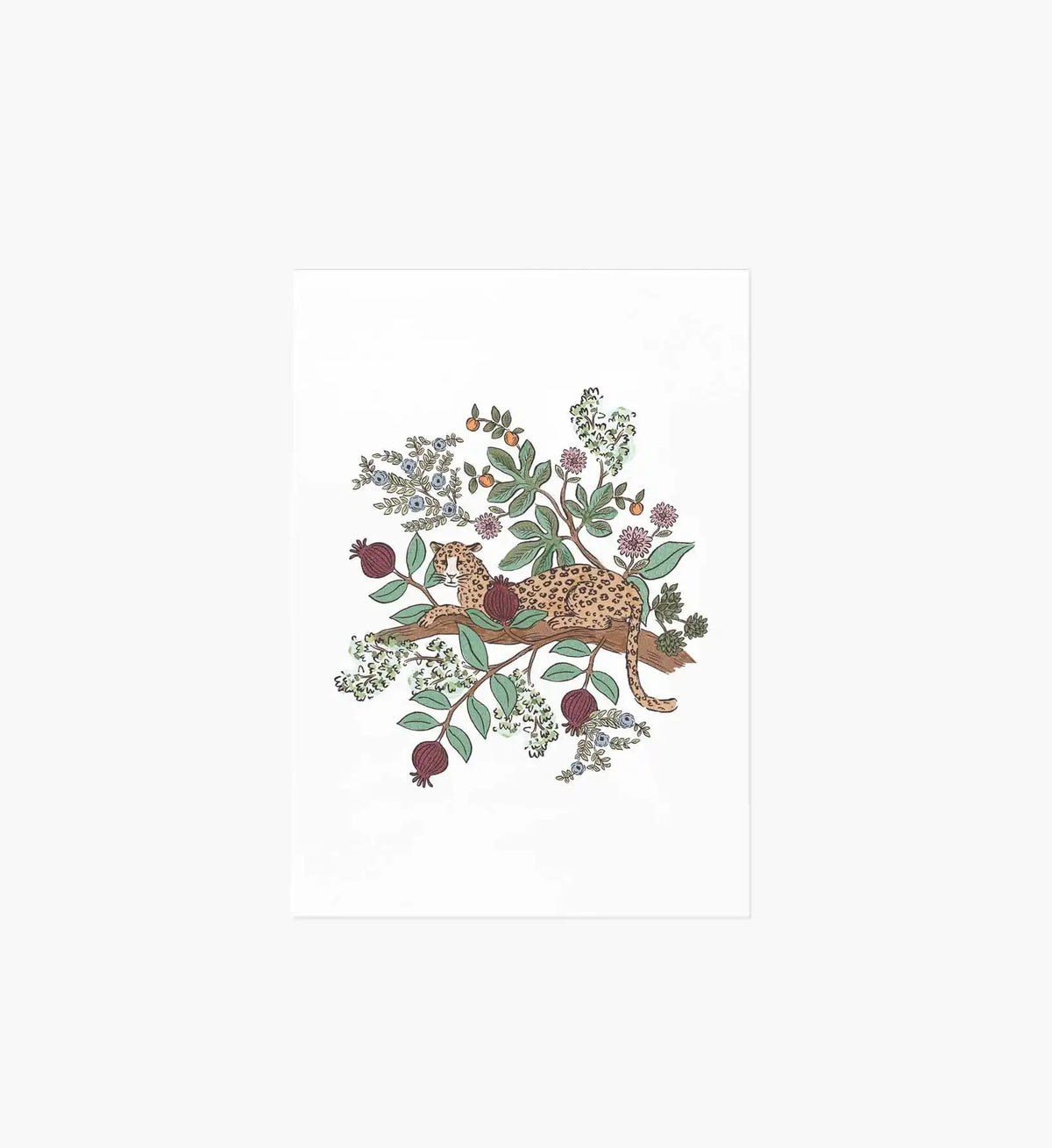 Safari Cheetah Art Print